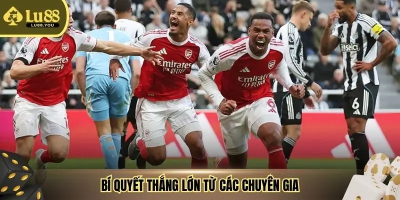 Bí quyết thắng lớn từ các chuyên gia